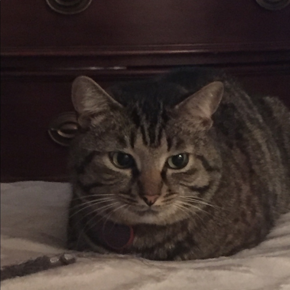 Meet your Posher, Tatiana